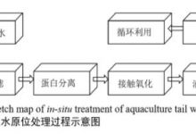 工厂化海水鱼类养殖尾水处理相关技术研究及进展_水产养殖网