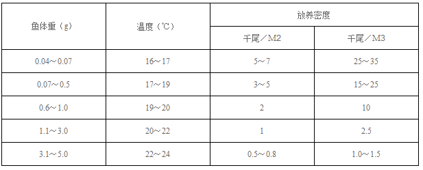 鲟鱼养殖幼鱼的放养密度