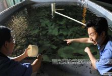 循环水养殖详细现状分析，看完你就懂了！_水产养殖网